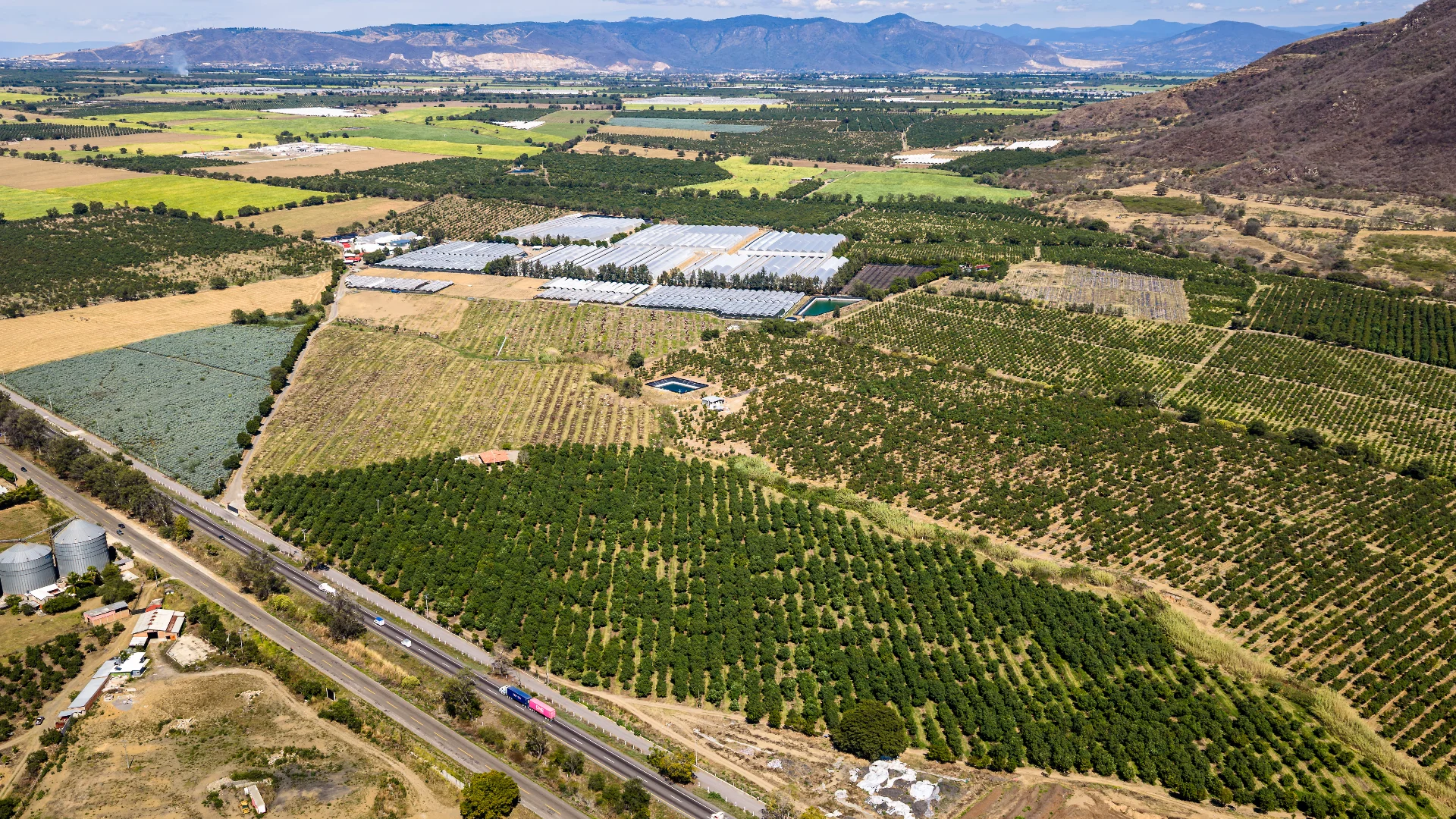 Campo de frambuesas - Vista aérea