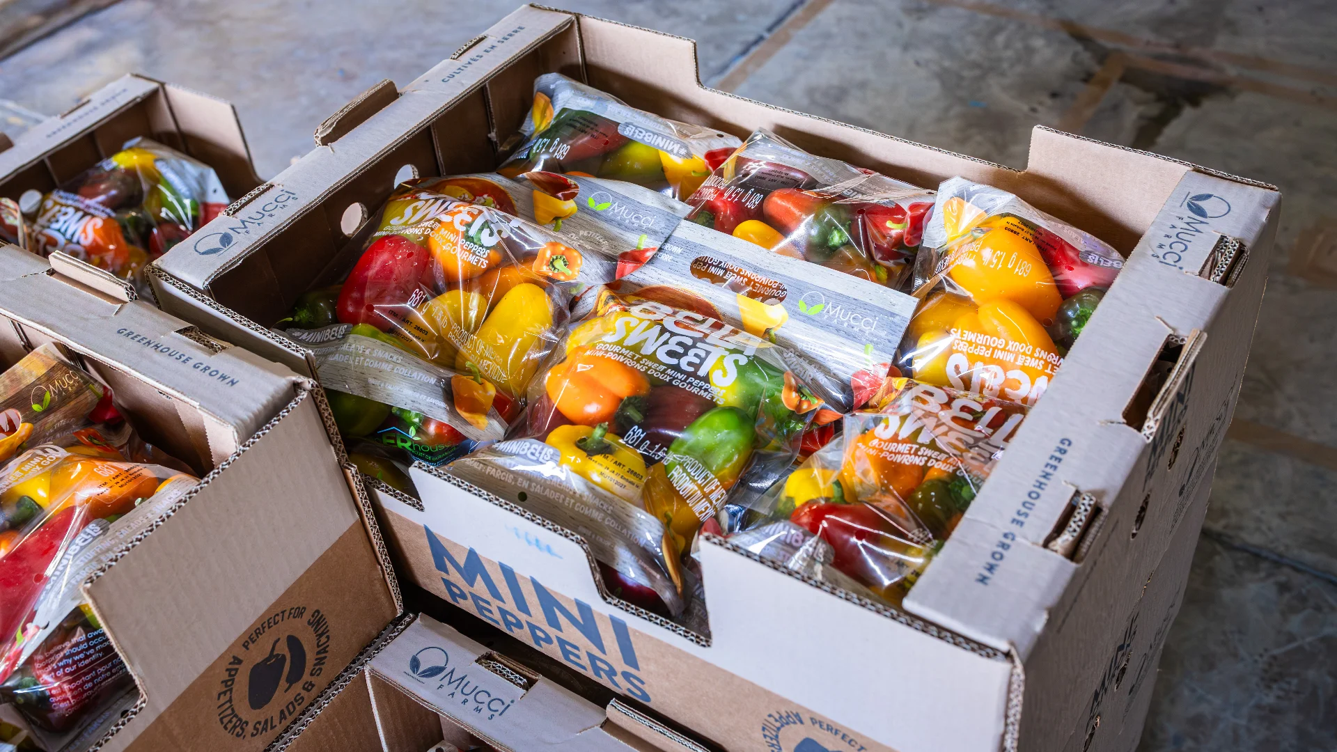 Proceso de empaque de aguacates