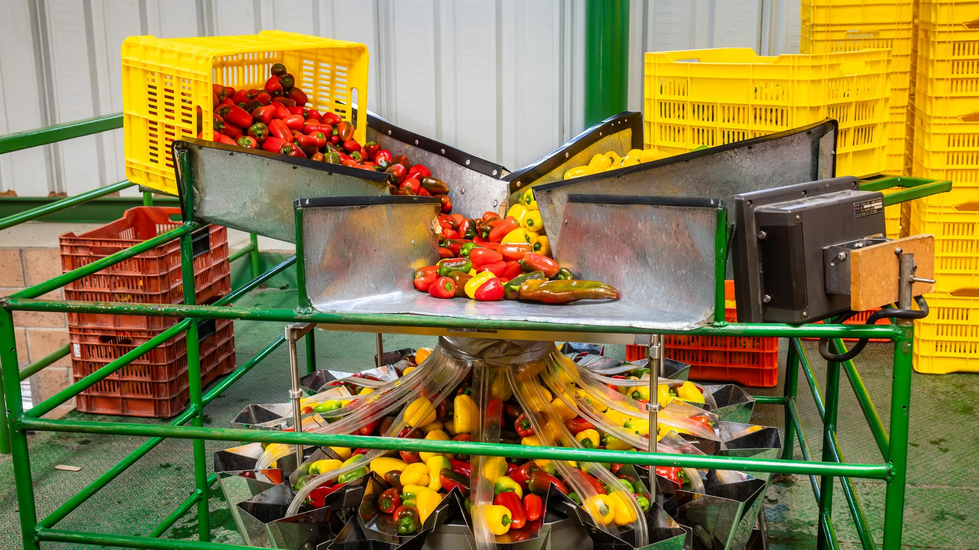 Producto terminado con logo Gomalor