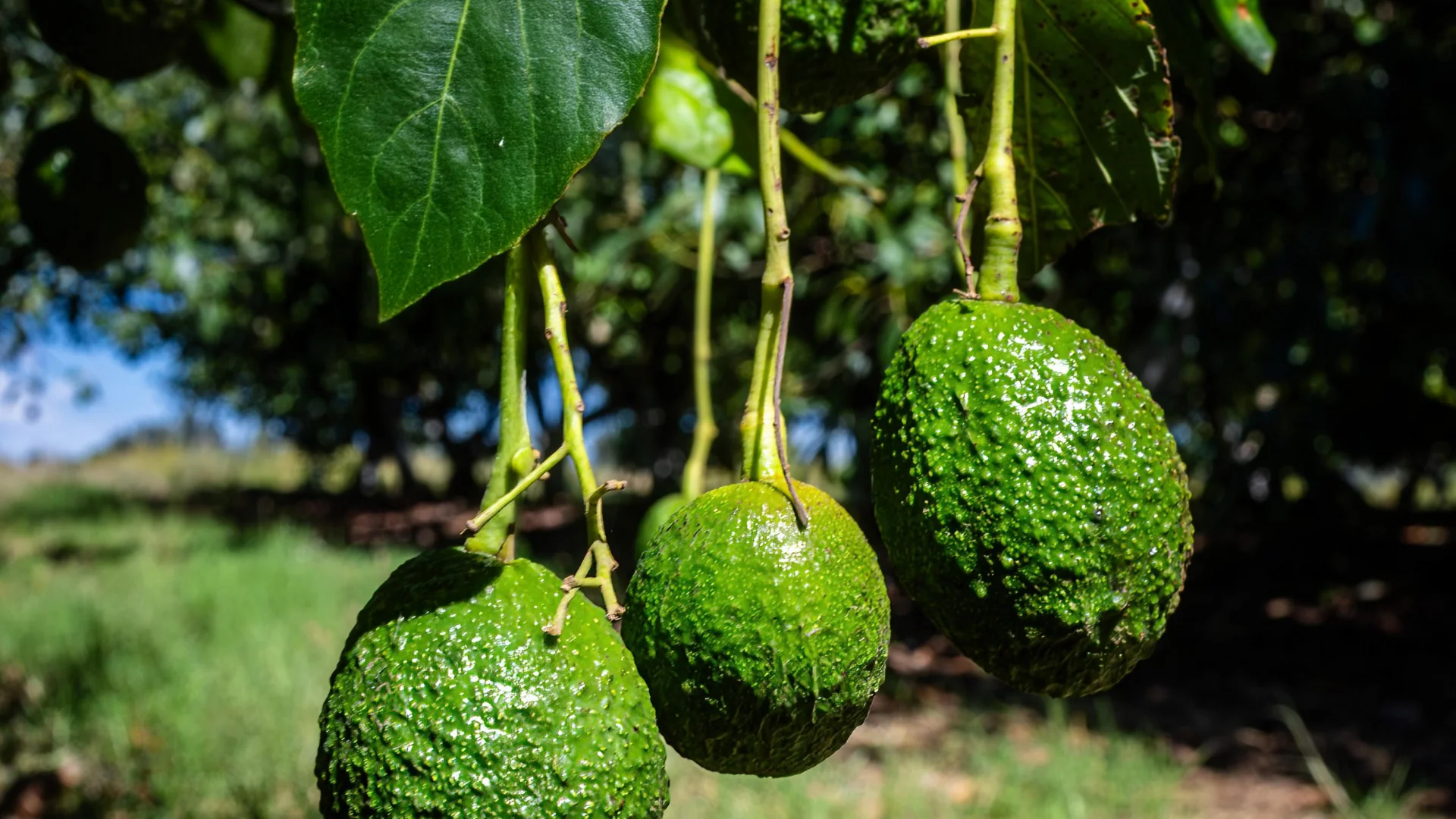 Equipo trabajando en instalaciones