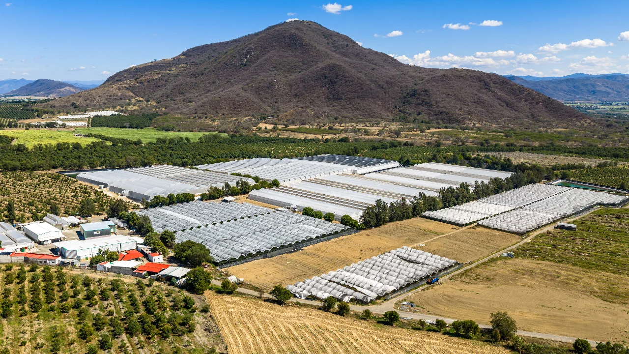 Instalaciones de Gomalor en Jalisco